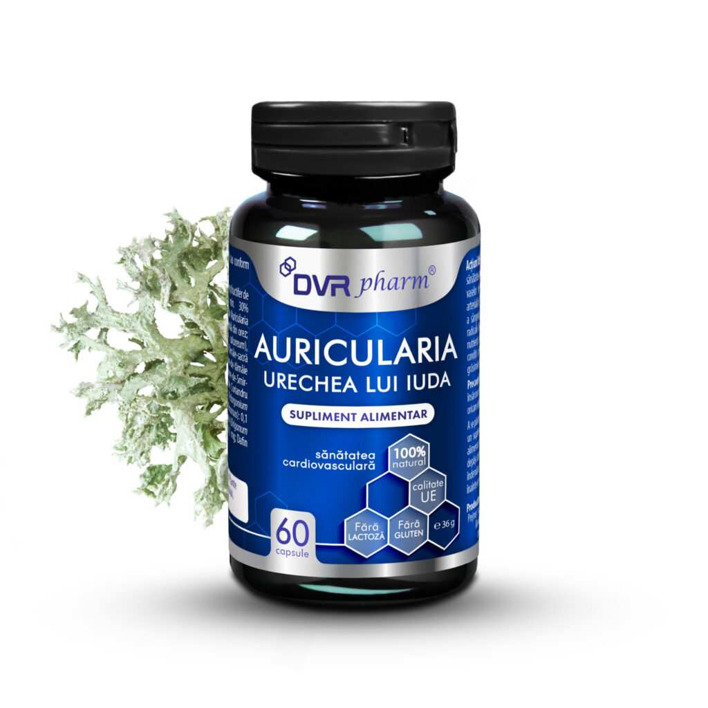 AURICULARIA – Urechea lui Iuda