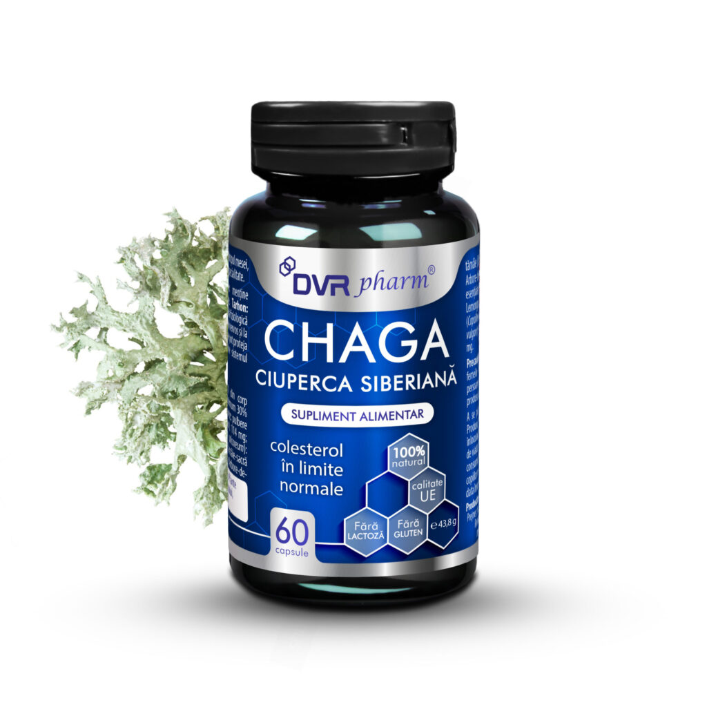 CHAGA – Ciuperca Siberiană