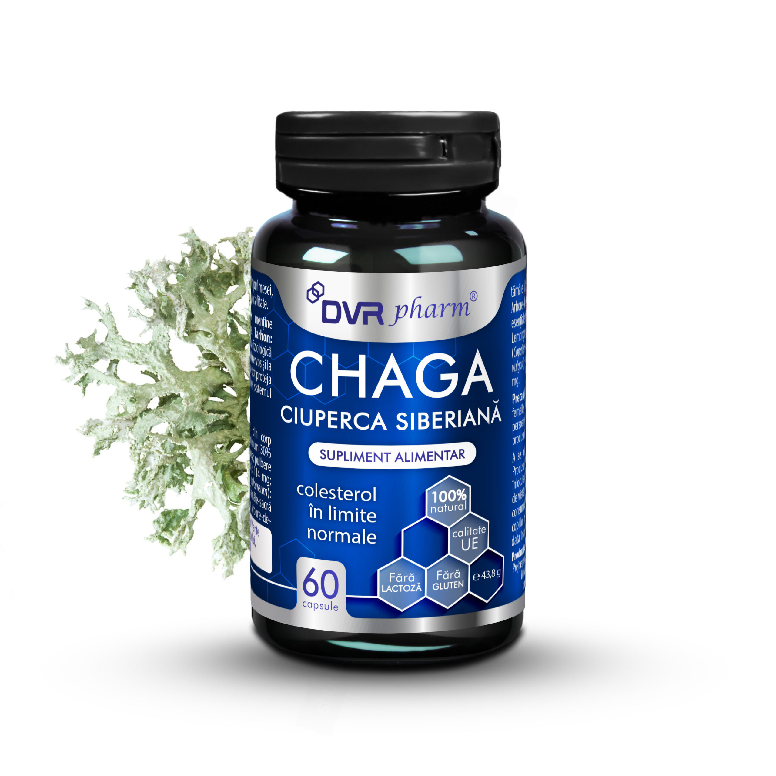 CHAGA – Ciuperca Siberiană