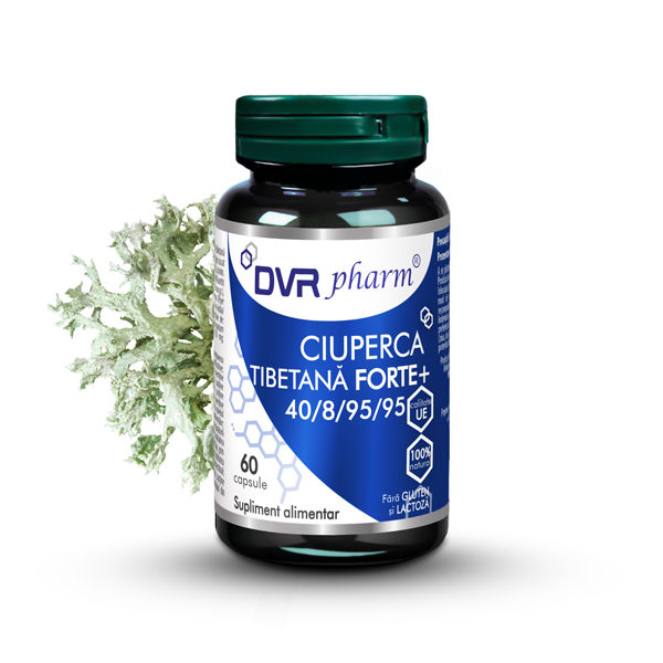CIUPERCA TIBETANĂ FORTE +