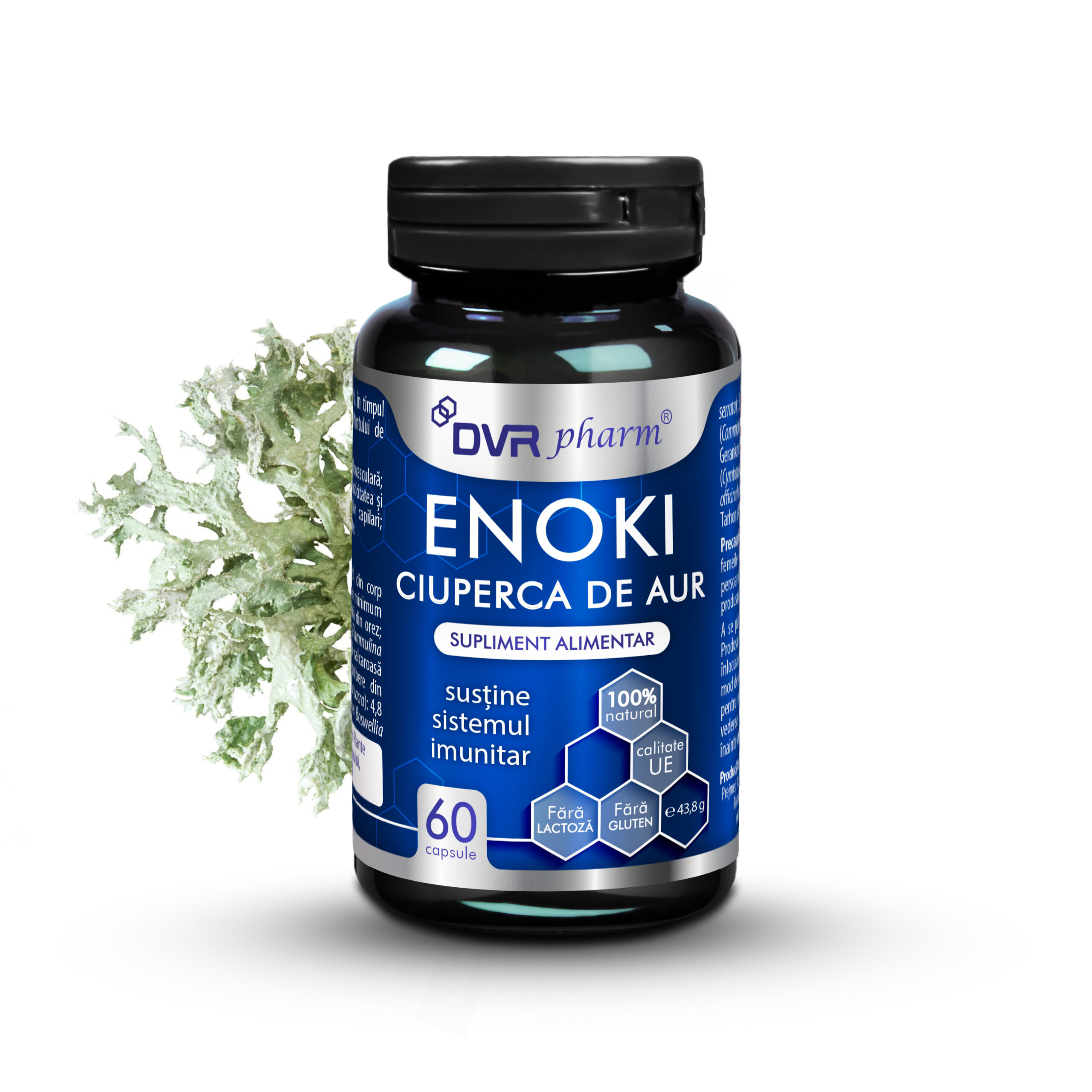 ENOKI – Ciuperca de Aur