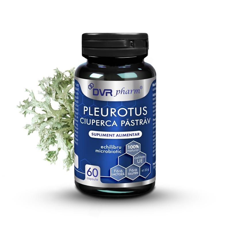 PLEUROTUS – Ciuperca Păstrăv