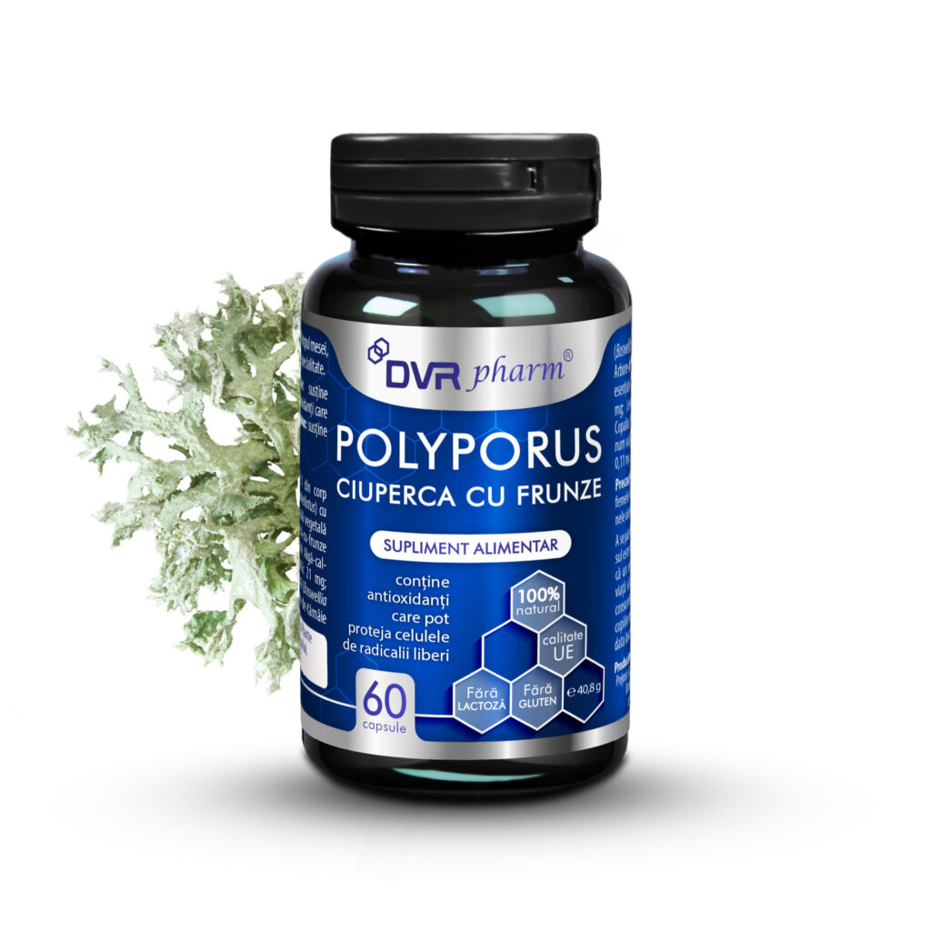 POLYPORUS – Ciuperca cu Frunze